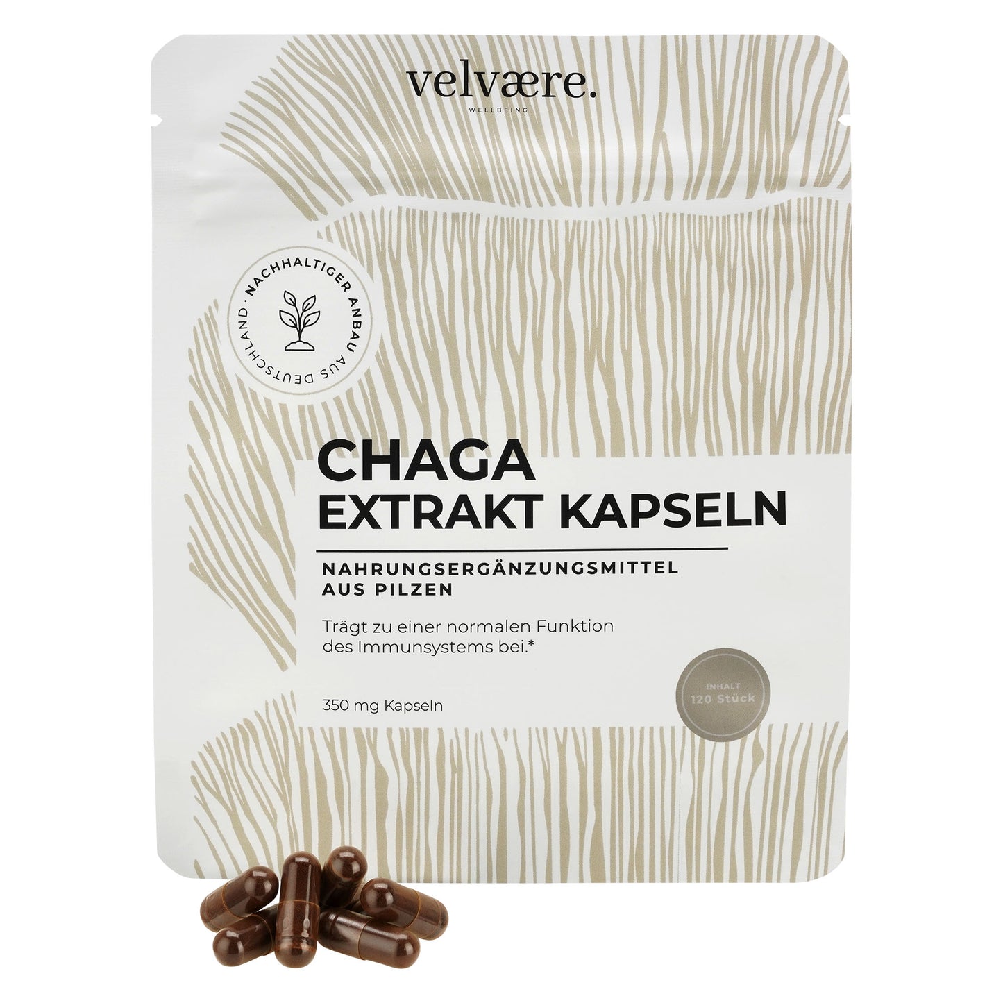 Velvaere Chaga Extrakt Kapseln – 350 mg, 120 Stück, vegan, aus nachhaltigem Anbau, Nahrungsergänzung aus Pilzen