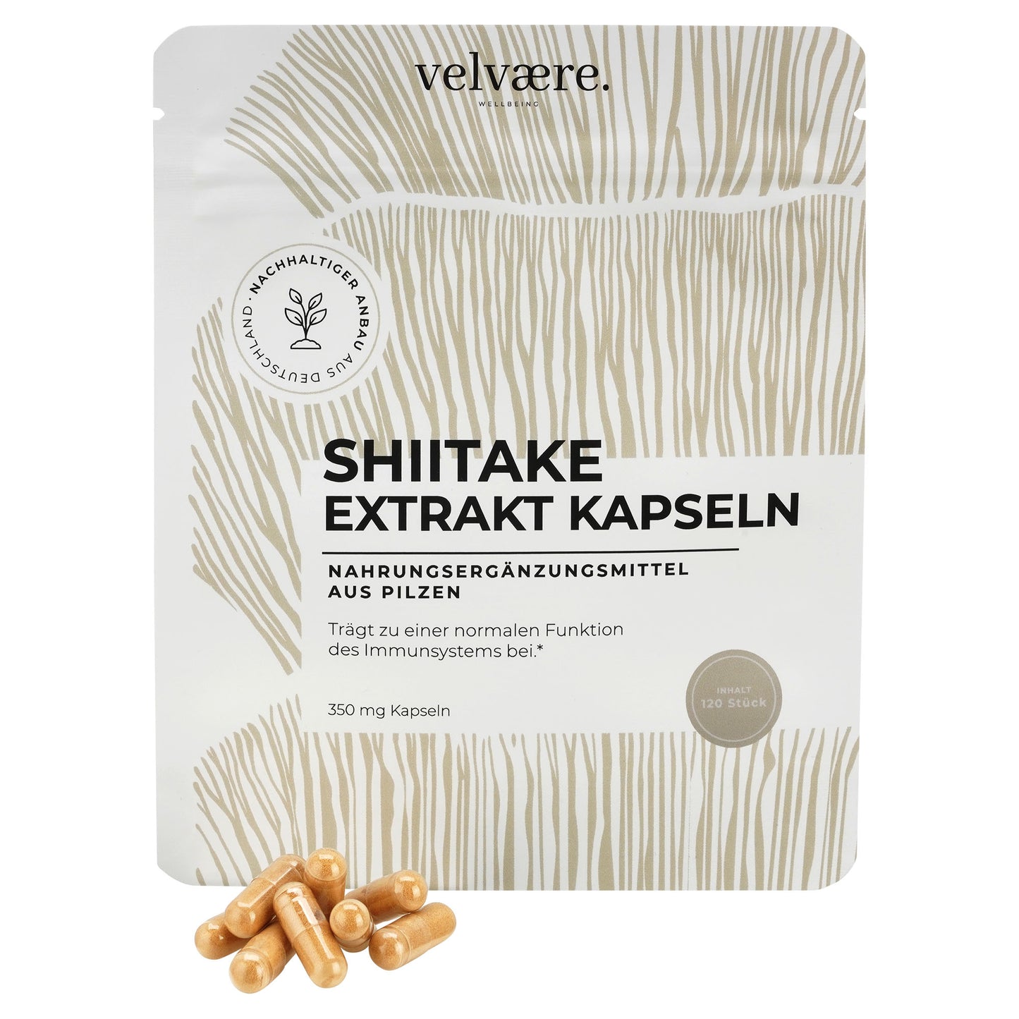 Velvaere Shiitake Extrakt Kapseln – 350 mg, 120 Stück, vegan, aus nachhaltigem Anbau, Nahrungsergänzung aus Pilzen