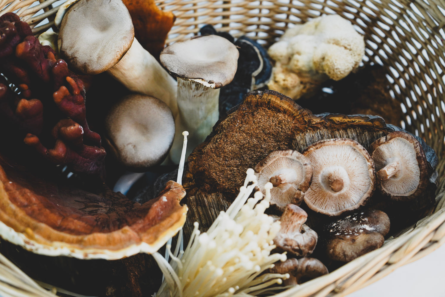 Geflochtener Korb voller frischer und getrockneter Vitalpilze wie Shiitake, Enoki, Reishi und Kräuterseitling, bunte Pilzvielfalt aus der Natur, Detailansicht