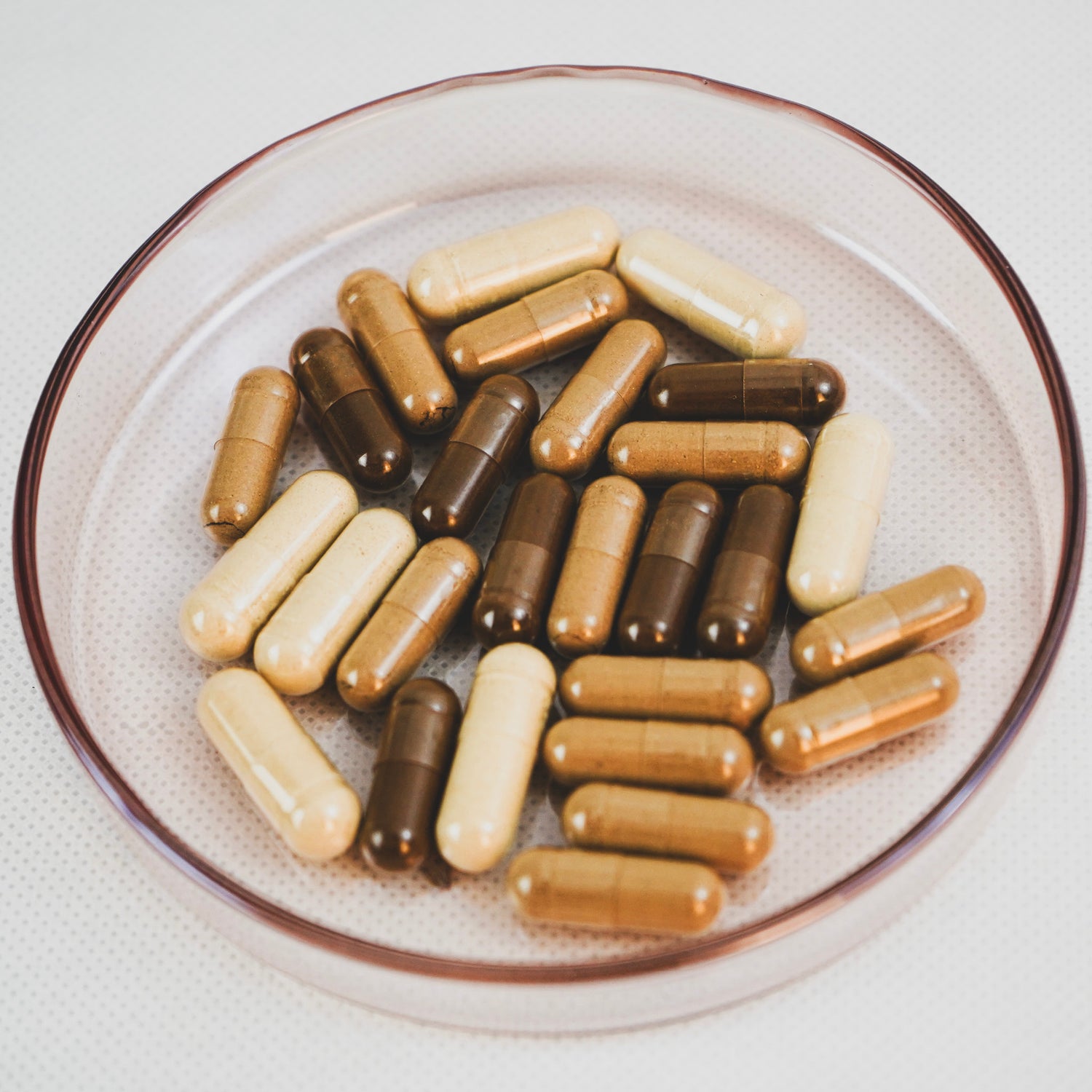 Verschiedenfarbige Vitalpilz-Kapseln in einer runden Glasschale, Nahaufnahme auf hellem Untergrund, Nahrungsergänzung aus Pilzextrakten