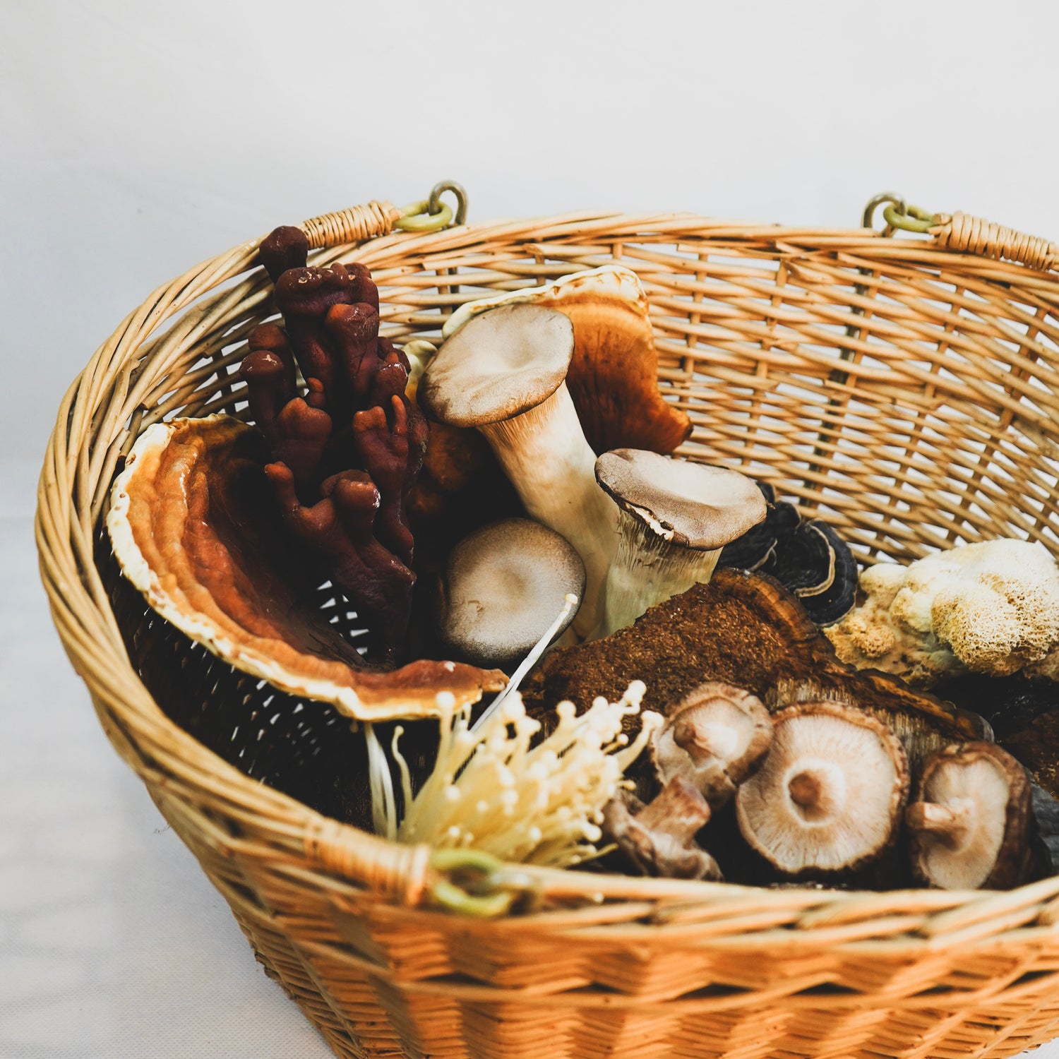 Geflochtener Korb mit verschiedenen Vitalpilzen wie Shiitake, Enoki, Reishi, Kräuterseitling und weiteren Sorten, natürliche Pilzvielfalt