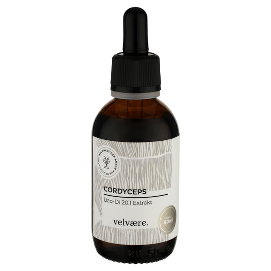 Velvaere Cordyceps Dao-Di 20:1 Extrakt – hochkonzentrierter Pilzextrakt im 50 ml Glasfläschchen, vegan, aus nachhaltigem Anbau