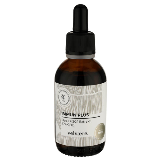 Velvaere Immun Plus Dao-Di 20:1 Extrakt + 10% CBD – hochkonzentrierter Pilzextrakt mit CBD, 50 ml Glasfläschchen, vegan, aus nachhaltigem Anbau