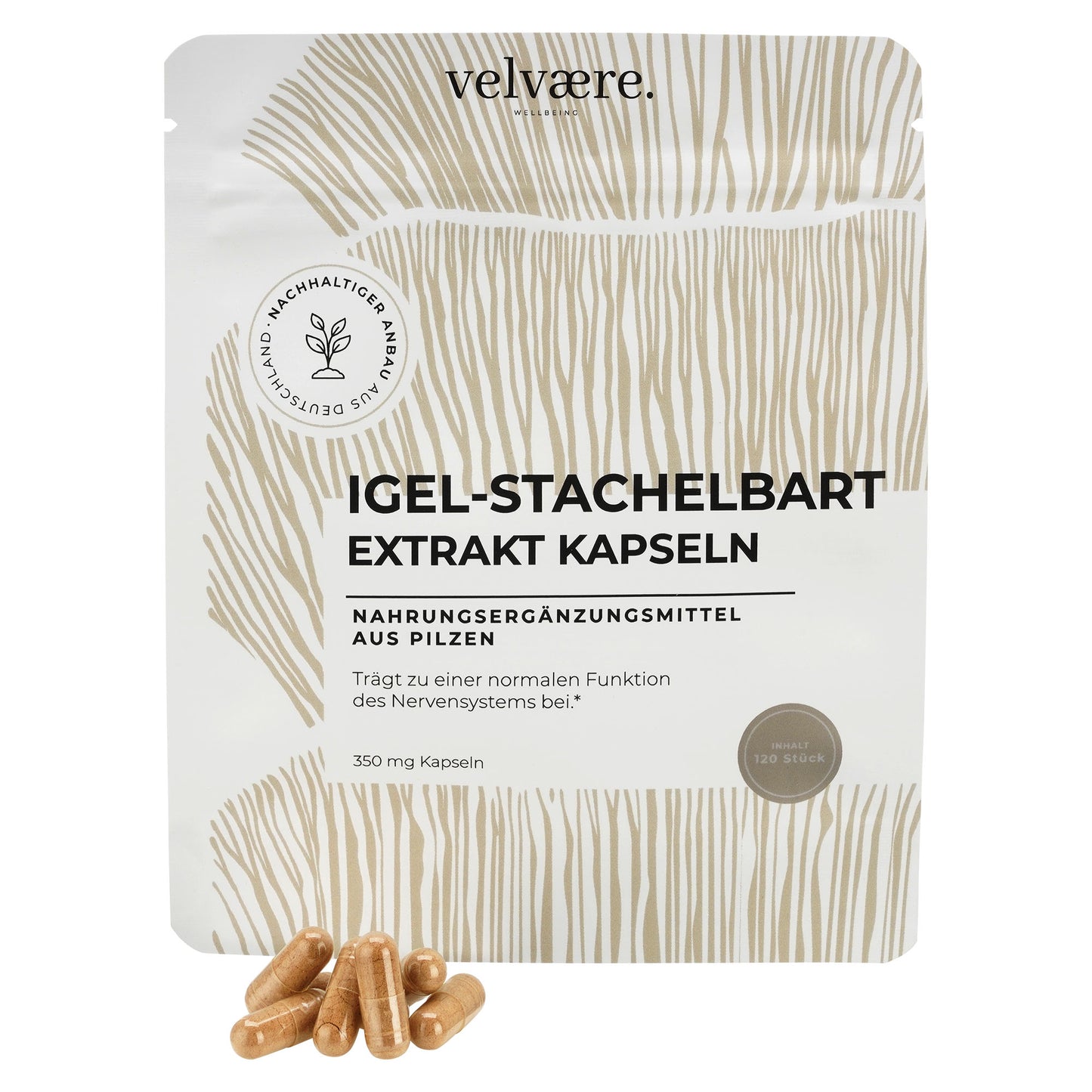 Velvaere Igel-Stachelbart (Lions Mane) Extrakt Kapseln – 350 mg, 120 Stück, vegan, aus nachhaltigem Anbau, Nahrungsergänzung aus Pilzen