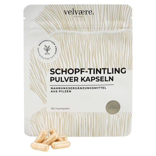 Velvaere Schopftintling Pulver Kapseln – 350 mg, 120 Stück, vegan, aus nachhaltigem Anbau, Nahrungsergänzung aus Pilzen