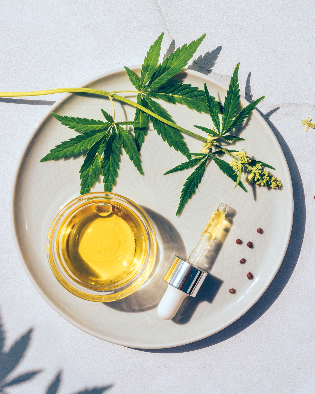 CBD Öl mit Hanfblatt und Vitalpilz Extrakt – natürliche Kombination aus CBD und Vitalpilzen für ganzheitliche Gesundheit