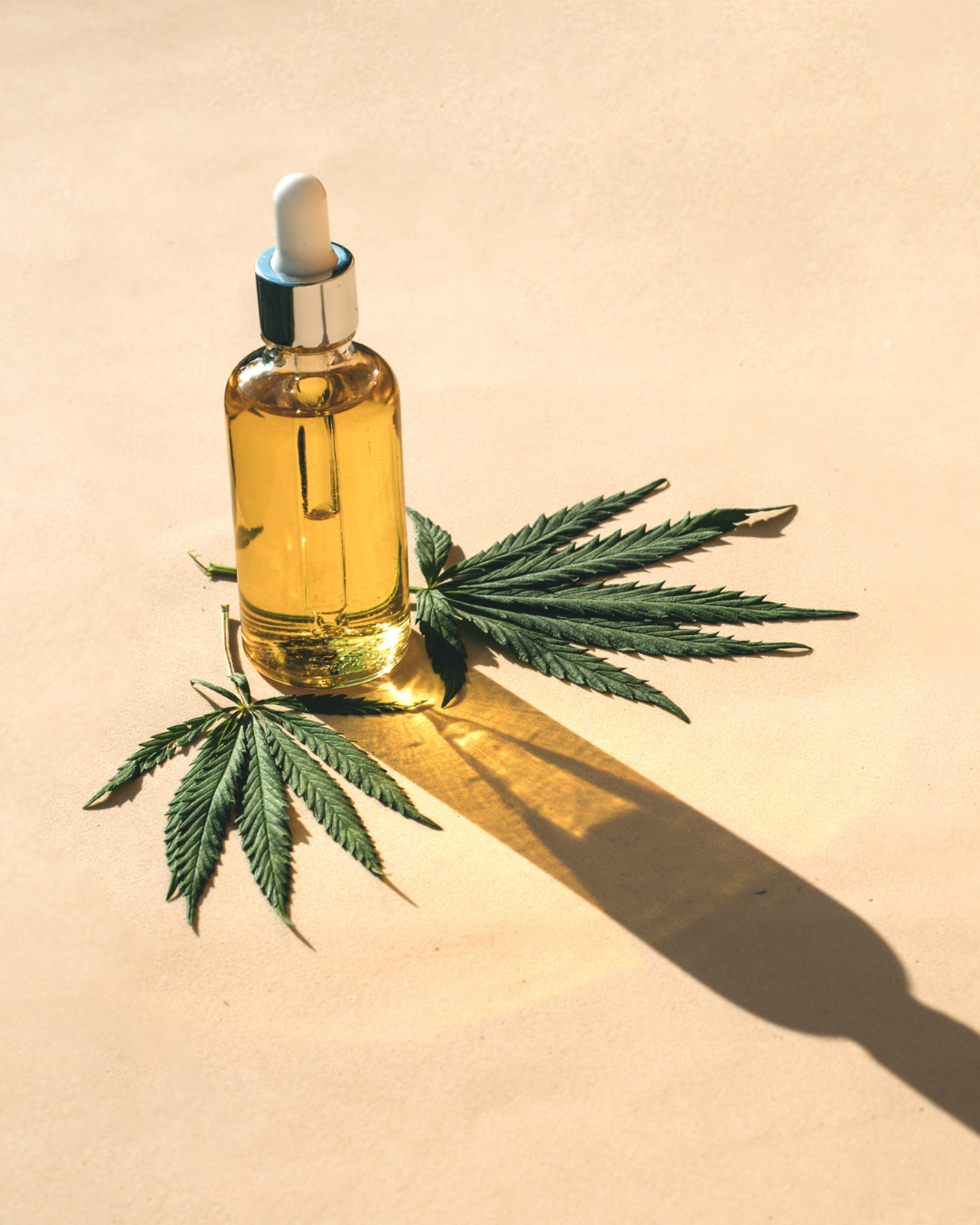 Glasfläschchen mit Pipette, gefüllt mit goldenem CBD Öl, steht auf Hanfblättern (Cannabis sativa) auf hellem Untergrund, Schattenwurf im Sonnenlicht