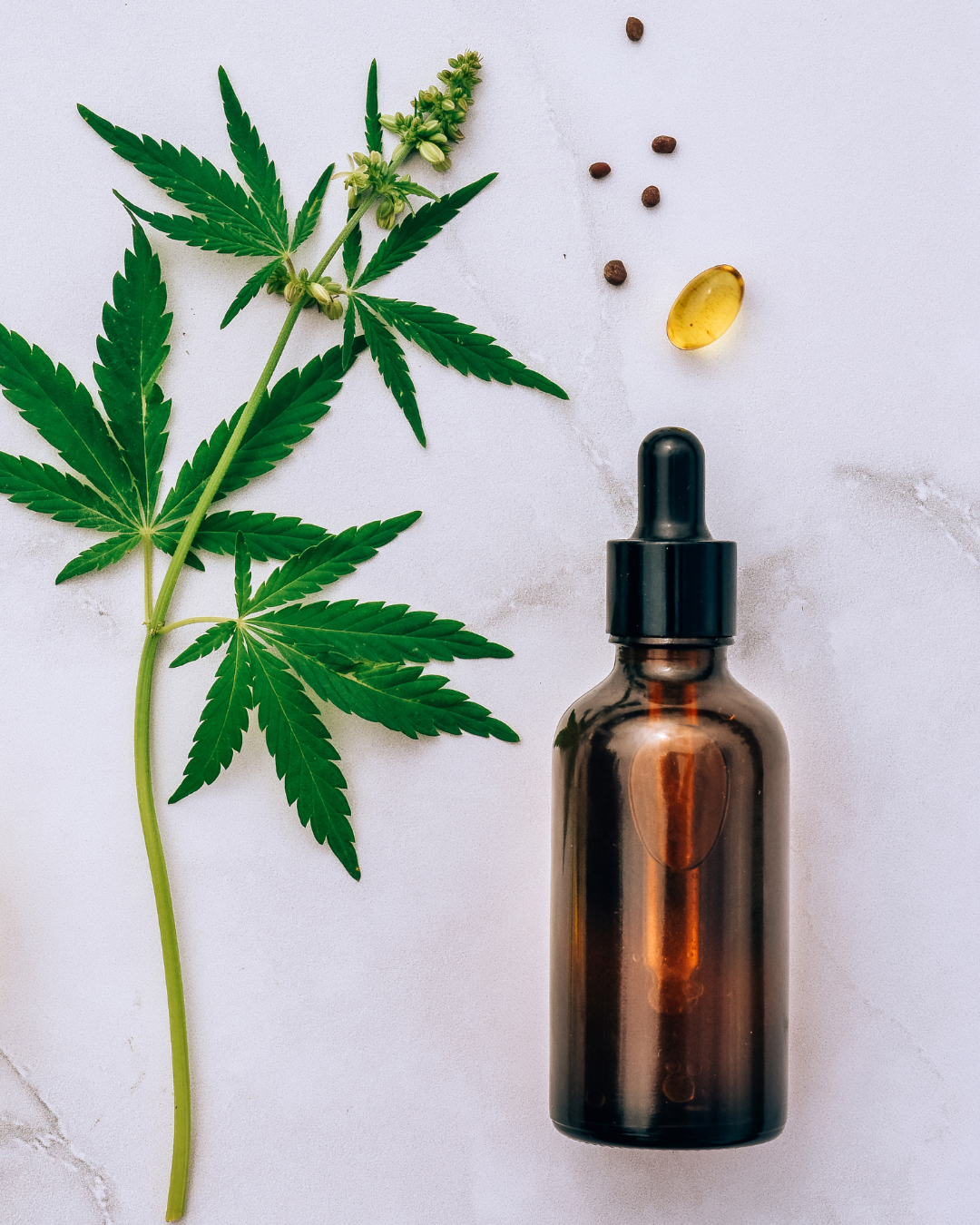 Hanfblatt und Hanfblüte neben braunem Tropffläschchen, Hanfsamen und CBD Öl-Kapsel auf hellem Untergrund, natürliche Produktkomposition