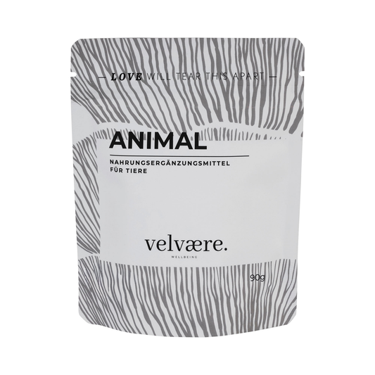 Velvaere Vitalpilz Animal Pulver für Hunde, Katzen und Haustiere. Natürliches Ergänzungsfuttermittel mit hochwertigen Vitalpilzen und ohne künstliche Zusatzstoffe – einfach täglich ins Futter mischen.